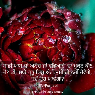 Picture 03 - 1 ਥੱਸਲੁਨੀਕੀਆਂ 2:19 PANIRV - ਸਾਡੀ ਆਸ ਜਾਂ ਅਨੰਦ - Bible Verse Picture