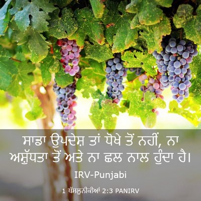 Picture 03 - 1 ਥੱਸਲੁਨੀਕੀਆਂ 2:3 PANIRV - ਸਾਡਾ ਉਪਦੇਸ਼ ਤਾਂ - Bible Verse Picture