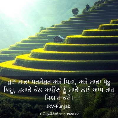 Picture 03 - 1 ਥੱਸਲੁਨੀਕੀਆਂ 3:11 PANIRV - ਹੁਣ ਸਾਡਾ ਪਰਮੇਸ਼ੁਰ - Bible Verse Picture