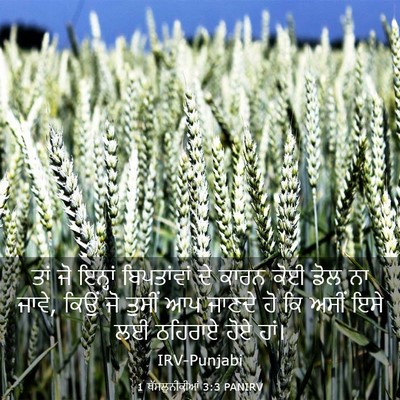 Picture 03 - 1 ਥੱਸਲੁਨੀਕੀਆਂ 3:3 PANIRV - ਤਾਂ ਜੋ ਇਨ੍ਹਾਂ - Bible Verse Picture