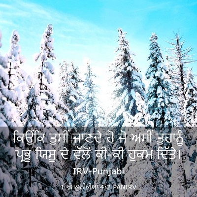 Picture 03 - 1 ਥੱਸਲੁਨੀਕੀਆਂ 4:2 PANIRV - ਕਿਉਂਕਿ ਤੁਸੀਂ - Bible Verse Picture