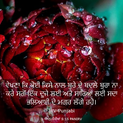 Picture 03 - 1 ਥੱਸਲੁਨੀਕੀਆਂ 5:15 PANIRV - ਵੇਖਣਾ ਕਿ ਕੋਈ ਕਿਸੇ - Bible Verse Picture