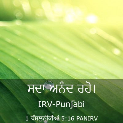 Picture 03 - 1 ਥੱਸਲੁਨੀਕੀਆਂ 5:16 PANIRV - ਸਦਾ ਅਨੰਦ - Bible Verse Picture