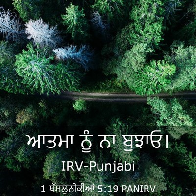 Picture 03 - 1 ਥੱਸਲੁਨੀਕੀਆਂ 5:19 PANIRV - ਆਤਮਾ ਨੂੰ ਨਾ - Bible Verse Picture