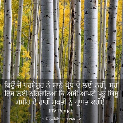 Picture 03 - 1 ਥੱਸਲੁਨੀਕੀਆਂ 5:9 PANIRV - ਕਿਉਂ ਜੋ ਪਰਮੇਸ਼ੁਰ - Bible Verse Picture