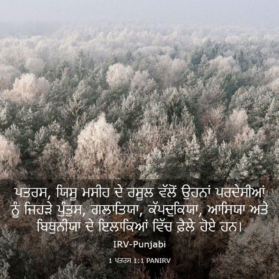 Picture 03 - 1 ਪਤਰਸ 1:1 PANIRV - ਪਤਰਸ, ਯਿਸੂ ਮਸੀਹ ਦੇ - Bible Verse Picture