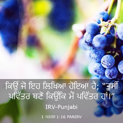 Picture 03 - 1 ਪਤਰਸ 1:16 PANIRV - ਕਿਉਂ ਜੋ ਇਹ ਲਿਖਿਆ - Bible Verse Picture