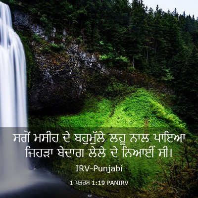 Picture 03 - 1 ਪਤਰਸ 1:19 PANIRV - ਸਗੋਂ ਮਸੀਹ ਦੇ - Bible Verse Picture