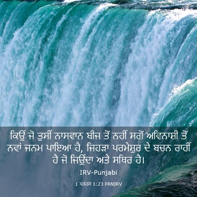 Picture 03 - 1 ਪਤਰਸ 1:23 PANIRV - ਕਿਉਂ ਜੋ ਤੁਸੀਂ - Bible Verse Picture