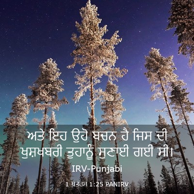 Picture 03 - 1 ਪਤਰਸ 1:25 PANIRV - ਅਤੇ ਇਹ ਉਹੋ ਬਚਨ ਹੈ - Bible Verse Picture