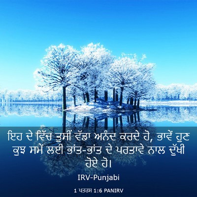 Picture 03 - 1 ਪਤਰਸ 1:6 PANIRV - ਇਹ ਦੇ ਵਿੱਚ ਤੁਸੀਂ - Bible Verse Picture