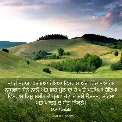 Picture 03 - 1 ਪਤਰਸ 1:7 PANIRV - ਤਾਂ ਜੋ ਤੁਹਾਡਾ - Bible Verse Picture