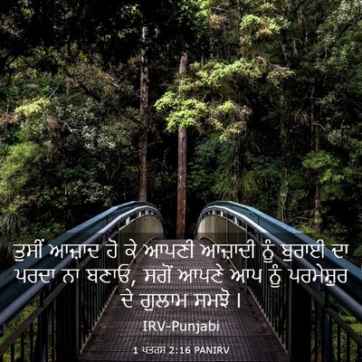 Picture 03 - 1 ਪਤਰਸ 2:16 PANIRV - ਤੁਸੀਂ ਆਜ਼ਾਦ ਹੋ ਕੇ - Bible Verse Picture