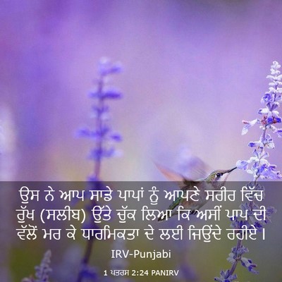 Picture 03 - 1 ਪਤਰਸ 2:24 PANIRV - ਉਸ ਨੇ ਆਪ ਸਾਡੇ ਪਾਪਾਂ - Bible Verse Picture