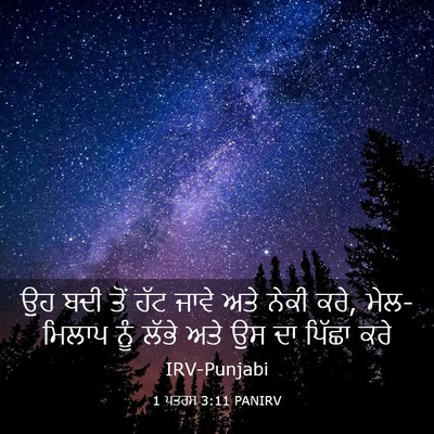 Picture 03 - 1 ਪਤਰਸ 3:11 PANIRV - ਉਹ ਬਦੀ ਤੋਂ ਹੱਟ ਜਾਵੇ - Bible Verse Picture