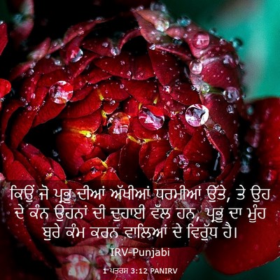 Picture 03 - 1 ਪਤਰਸ 3:12 PANIRV - ਕਿਉਂ ਜੋ ਪ੍ਰਭੂ ਦੀਆਂ - Bible Verse Picture