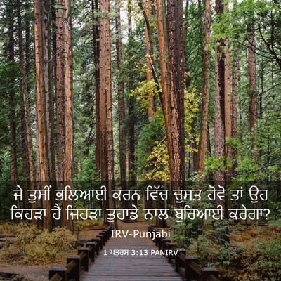 Picture 03 - 1 ਪਤਰਸ 3:13 PANIRV - ਜੇ ਤੁਸੀਂ ਭਲਿਆਈ ਕਰਨ - Bible Verse Picture