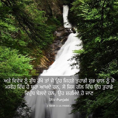 Picture 03 - 1 ਪਤਰਸ 3:16 PANIRV - ਅਤੇ ਵਿਵੇਕ ਨੂੰ - Bible Verse Picture