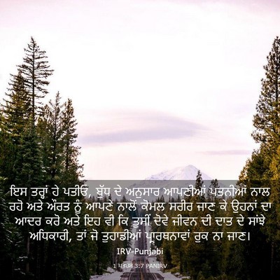 Picture 03 - 1 ਪਤਰਸ 3:7 PANIRV - ਇਸ ਤਰ੍ਹਾਂ ਹੇ ਪਤੀਓ, - Bible Verse Picture