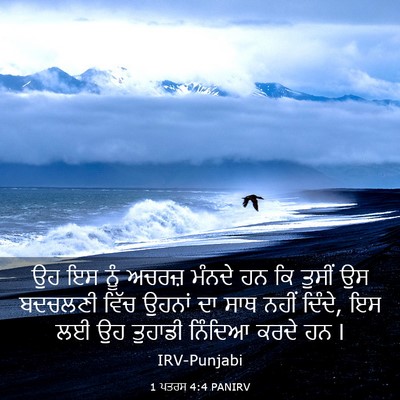 Picture 03 - 1 ਪਤਰਸ 4:4 PANIRV - ਉਹ ਇਸ ਨੂੰ ਅਚਰਜ਼ - Bible Verse Picture