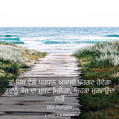 Picture 03 - 1 ਪਤਰਸ 5:4 PANIRV - ਤਾਂ ਜਿਸ ਵੇਲੇ ਪਰਧਾਨ - Bible Verse Picture