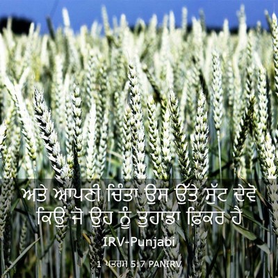 Picture 03 - 1 ਪਤਰਸ 5:7 PANIRV - ਅਤੇ ਆਪਣੀ ਚਿੰਤਾ ਉਸ - Bible Verse Picture