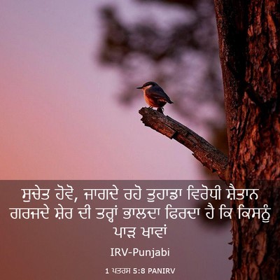 Picture 03 - 1 ਪਤਰਸ 5:8 PANIRV - ਸੁਚੇਤ ਹੋਵੋ, ਜਾਗਦੇ - Bible Verse Picture