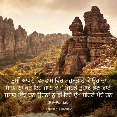 Picture 03 - 1 ਪਤਰਸ 5:9 PANIRV - ਤੁਸੀਂ ਆਪਣੇ - Bible Verse Picture