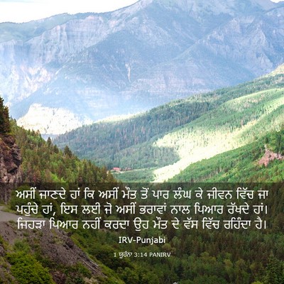 Picture 03 - 1 ਯੂਹੰਨਾ 3:14 PANIRV - ਅਸੀਂ ਜਾਣਦੇ ਹਾਂ ਕਿ - Bible Verse Picture
