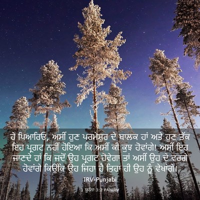 Picture 03 - 1 ਯੂਹੰਨਾ 3:2 PANIRV - ਹੇ ਪਿਆਰਿਓ, ਅਸੀਂ ਹੁਣ - Bible Verse Picture