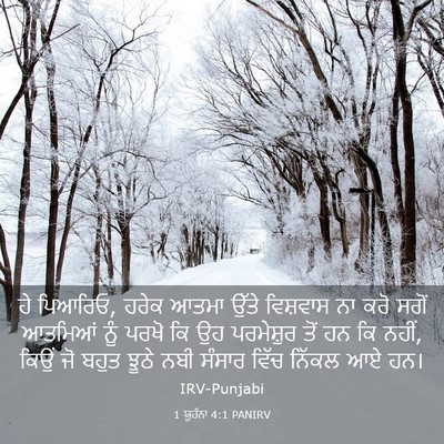 Picture 03 - 1 ਯੂਹੰਨਾ 4:1 PANIRV - ਹੇ ਪਿਆਰਿਓ, ਹਰੇਕ - Bible Verse Picture