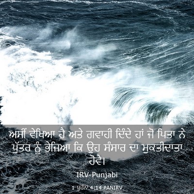 Picture 03 - 1 ਯੂਹੰਨਾ 4:14 PANIRV - ਅਸੀਂ ਵੇਖਿਆ ਹੈ ਅਤੇ - Bible Verse Picture