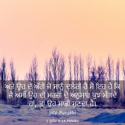 Picture 03 - 1 ਯੂਹੰਨਾ 5:14 PANIRV - ਅਤੇ ਉਹ ਦੇ ਅੱਗੇ ਜੋ - Bible Verse Picture