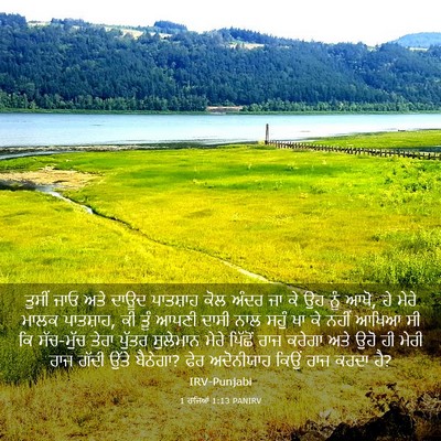 Picture 03 - 1 ਰਾਜਿਆਂ 1:13 PANIRV - ਤੁਸੀਂ ਜਾਓ ਅਤੇ ਦਾਊਦ - Bible Verse Picture