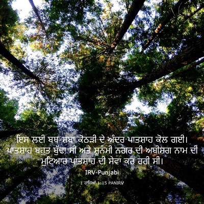 Picture 03 - 1 ਰਾਜਿਆਂ 1:15 PANIRV - ਇਸ ਲਈ ਬਥ-ਸ਼ਬਾ ਕੋਠੜੀ - Bible Verse Picture