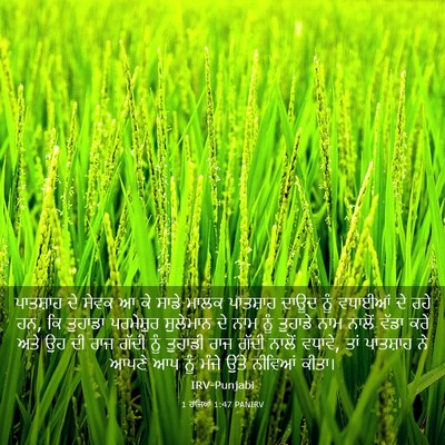 Picture 03 - 1 ਰਾਜਿਆਂ 1:47 PANIRV - ਪਾਤਸ਼ਾਹ ਦੇ ਸੇਵਕ ਆ - Bible Verse Picture
