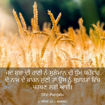 Picture 03 - 1 ਰਾਜਿਆਂ 10:1 PANIRV - ਜਦ ਸ਼ਬਾ ਦੀ ਰਾਣੀ ਨੇ - Bible Verse Picture