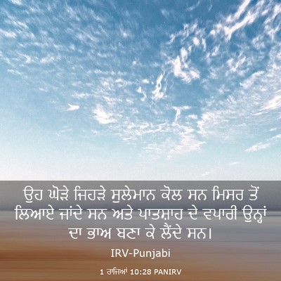 Picture 03 - 1 ਰਾਜਿਆਂ 10:28 PANIRV - ਉਹ ਘੋੜੇ ਜਿਹੜੇ - Bible Verse Picture