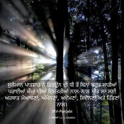 Picture 03 - 1 ਰਾਜਿਆਂ 11:1 PANIRV - ਸੁਲੇਮਾਨ ਪਾਤਸ਼ਾਹ - Bible Verse Picture