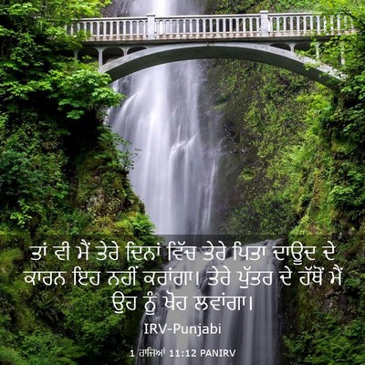 Picture 03 - 1 ਰਾਜਿਆਂ 11:12 PANIRV - ਤਾਂ ਵੀ ਮੈਂ ਤੇਰੇ - Bible Verse Picture