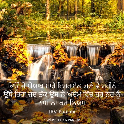 Picture 03 - 1 ਰਾਜਿਆਂ 11:16 PANIRV - ਕਿਉਂ ਜੋ ਯੋਆਬ ਸਾਰੇ - Bible Verse Picture