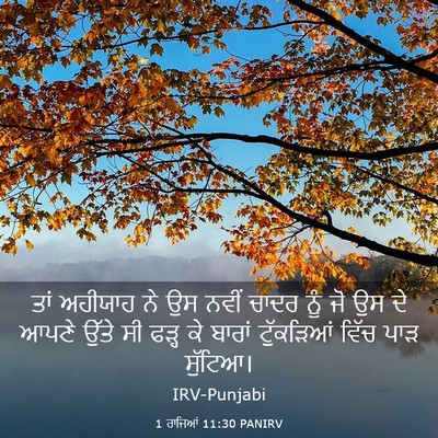 Picture 03 - 1 ਰਾਜਿਆਂ 11:30 PANIRV - ਤਾਂ ਅਹੀਯਾਹ ਨੇ ਉਸ - Bible Verse Picture