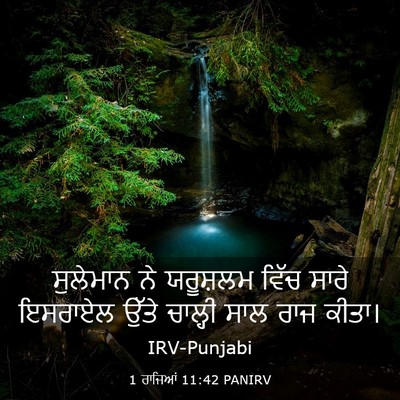 Picture 03 - 1 ਰਾਜਿਆਂ 11:42 PANIRV - ਸੁਲੇਮਾਨ ਨੇ - Bible Verse Picture