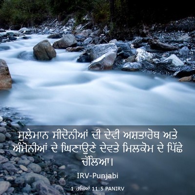 Picture 03 - 1 ਰਾਜਿਆਂ 11:5 PANIRV - ਸੁਲੇਮਾਨ ਸੀਦੋਨੀਆਂ - Bible Verse Picture