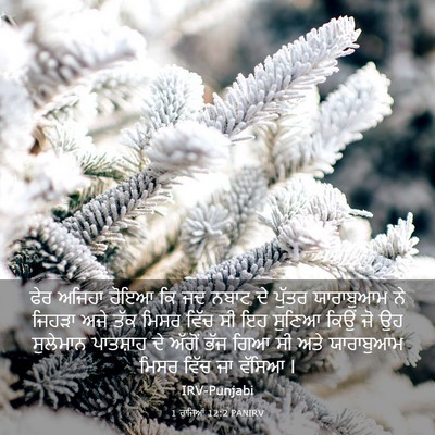 Picture 03 - 1 ਰਾਜਿਆਂ 12:2 PANIRV - ਫੇਰ ਅਜਿਹਾ ਹੋਇਆ ਕਿ - Bible Verse Picture