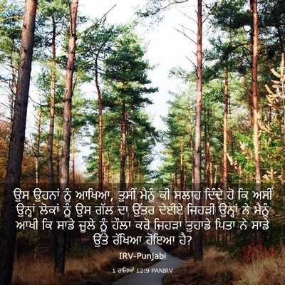 Picture 03 - 1 ਰਾਜਿਆਂ 12:9 PANIRV - ਉਸ ਉਹਨਾਂ ਨੂੰ ਆਖਿਆ, - Bible Verse Picture