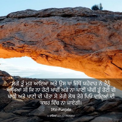 Picture 03 - 1 ਰਾਜਿਆਂ 13:22 PANIRV - ਸਗੋਂ ਤੂੰ ਮੁੜ ਆਇਆ - Bible Verse Picture