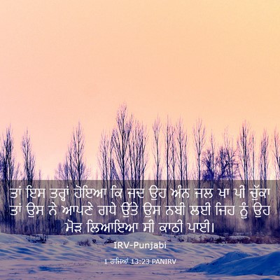 Picture 03 - 1 ਰਾਜਿਆਂ 13:23 PANIRV - ਤਾਂ ਇਸ ਤਰ੍ਹਾਂ ਹੋਇਆ - Bible Verse Picture