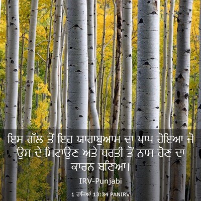 Picture 03 - 1 ਰਾਜਿਆਂ 13:34 PANIRV - ਇਸ ਗੱਲ ਤੋਂ ਇਹ - Bible Verse Picture