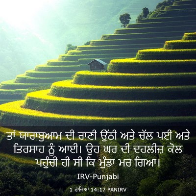 Picture 03 - 1 ਰਾਜਿਆਂ 14:17 PANIRV - ਤਾਂ ਯਾਰਾਬੁਆਮ ਦੀ - Bible Verse Picture